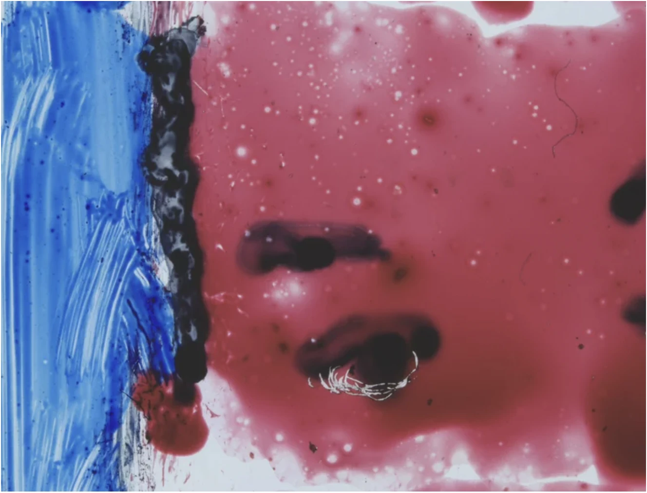 Diego Marcon - Untitled (Head falling 01, 02, 03, 04, 05)