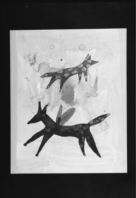 Maurizio Donzelli • Disegni