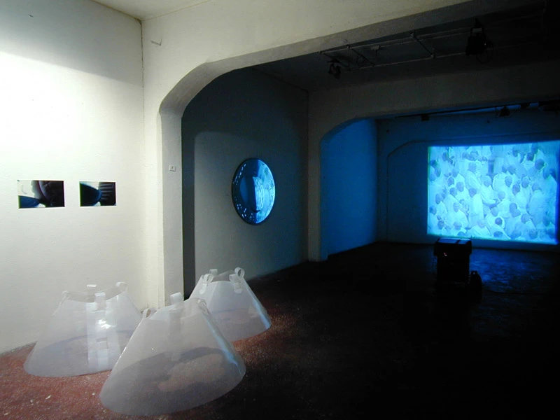 Giovanni Surace