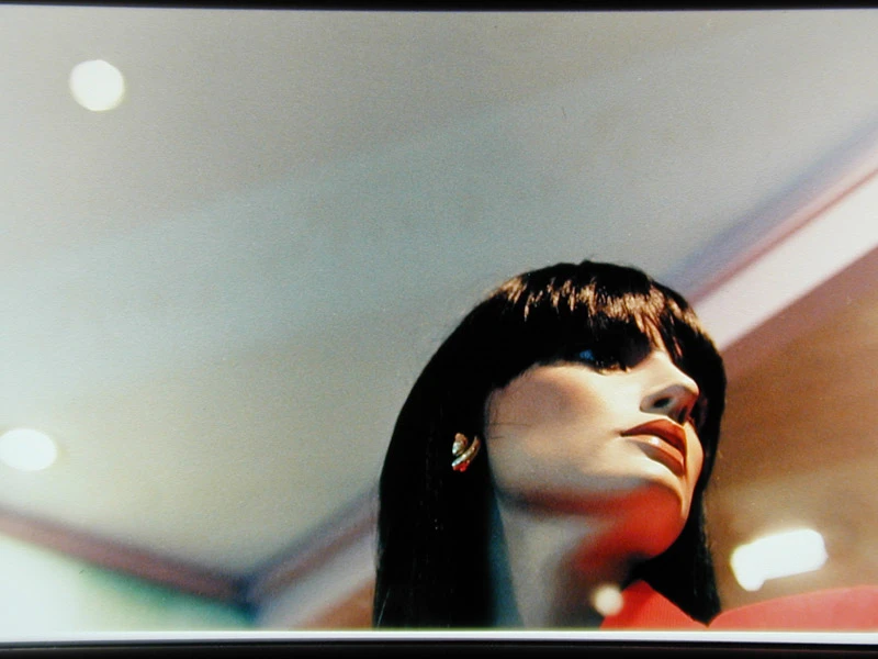 Alessandra Spranzi • L’angelo del focolare