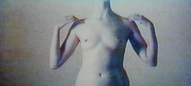 Il corpo della pittura