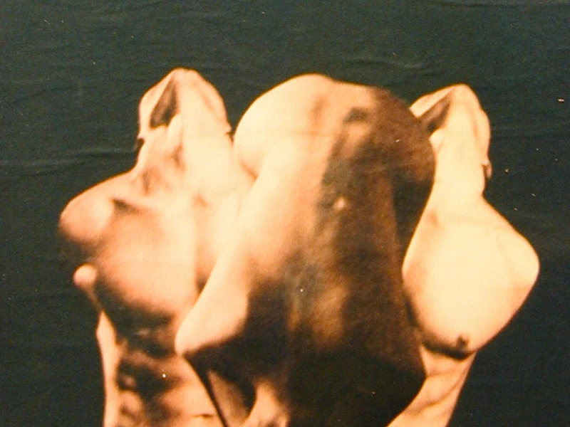 Il corpo della pittura