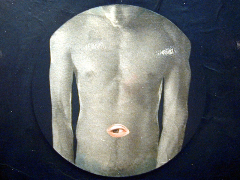 Il corpo della pittura