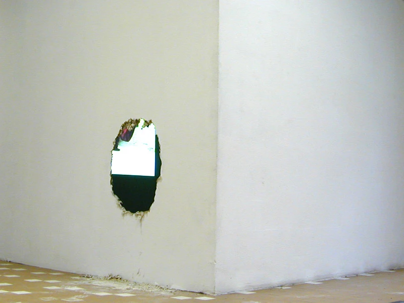 Emanuel Licha  • Nothing less, nothing more, just transformed