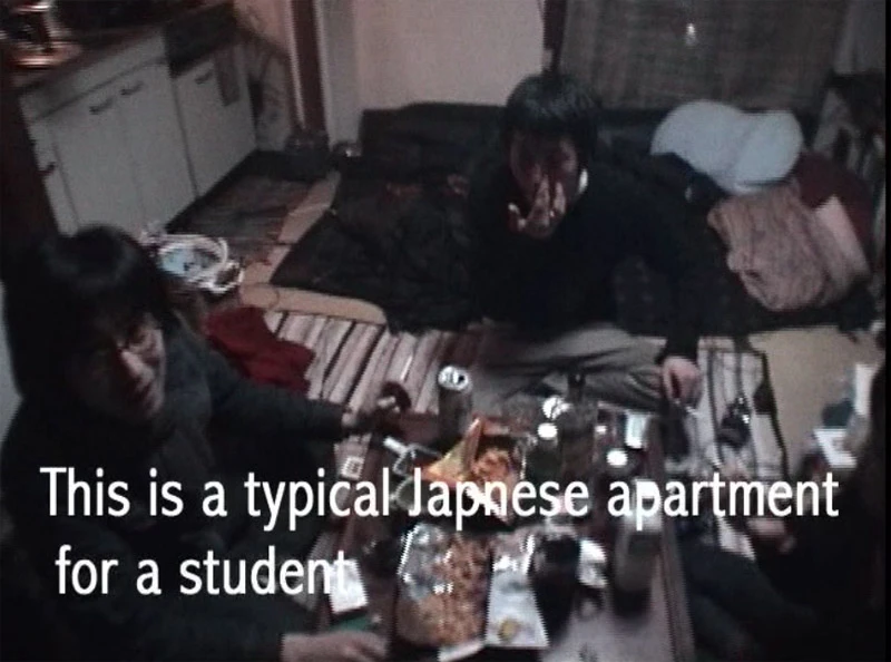 Tokyo rabbit paradise