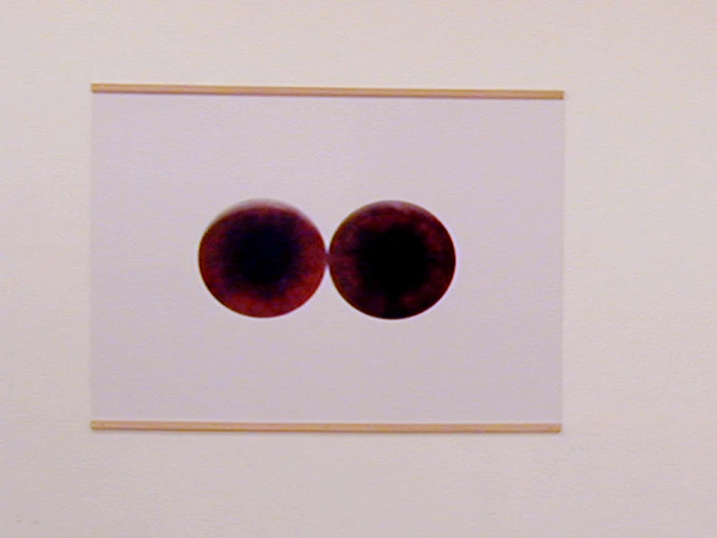 Des yeux + Shomer Isaia 21