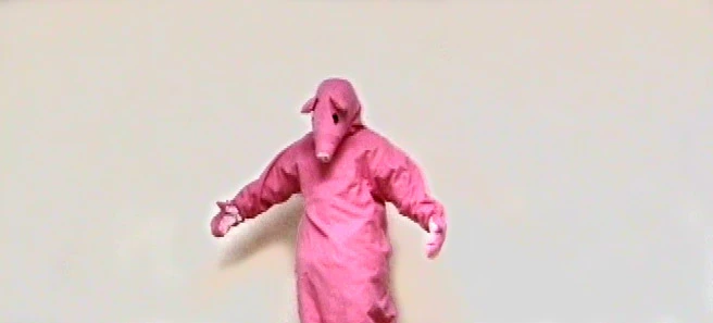 New Entry > Videoteca Careof