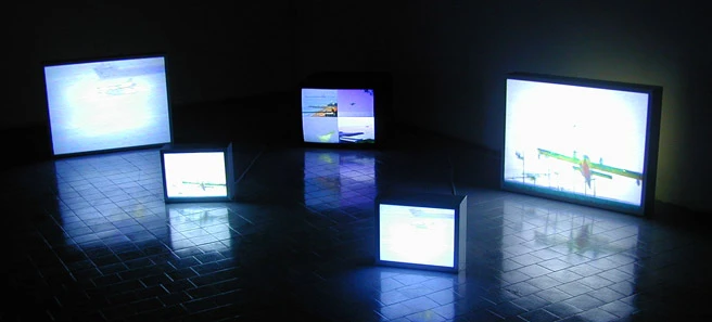 Simonetta Fadda  • Reality Show