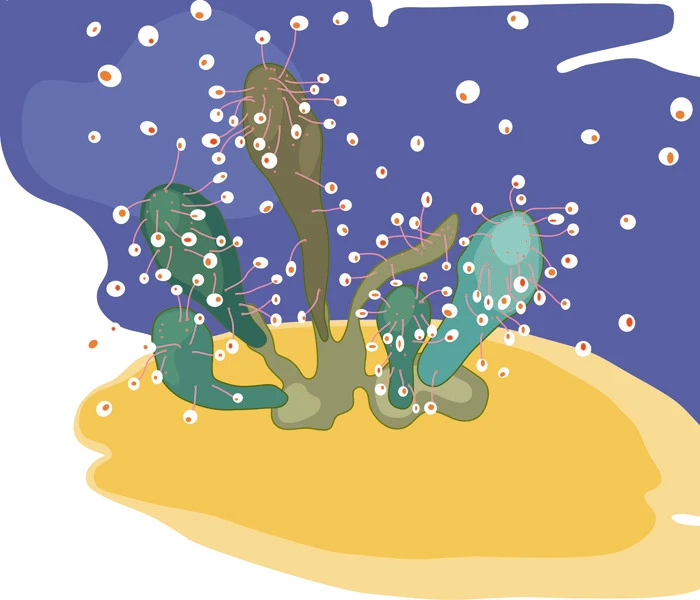 Milano.Melbourne.Milano