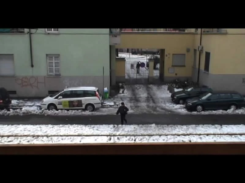 New entry  > Videoteca Careof