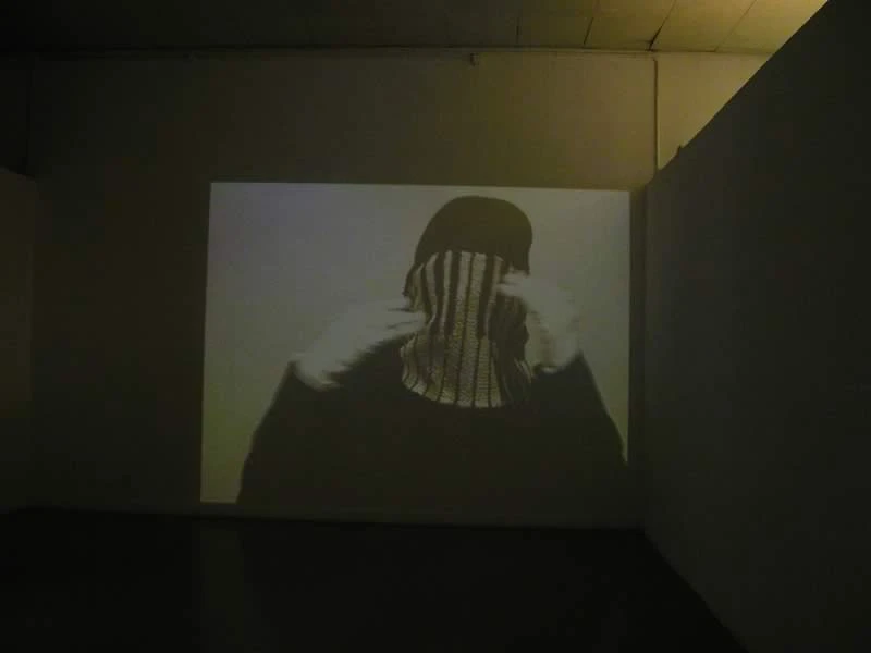 New entry  > Videoteca Careof