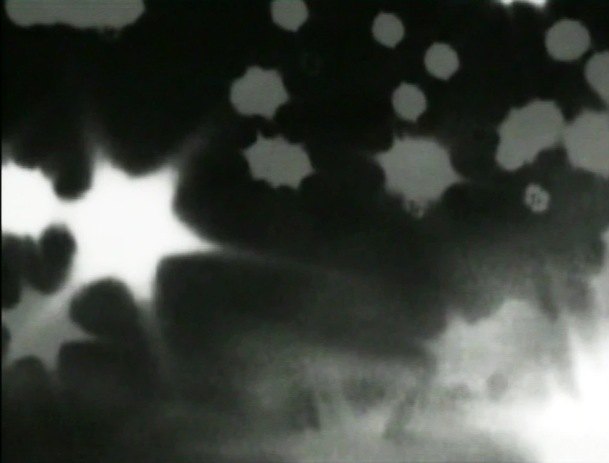 Quando l'occhio trema. Il flicker tra cinema, video, digitale