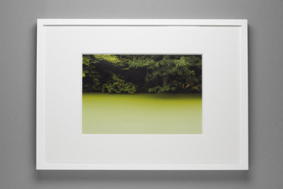 Marco Strappato • FakeLake