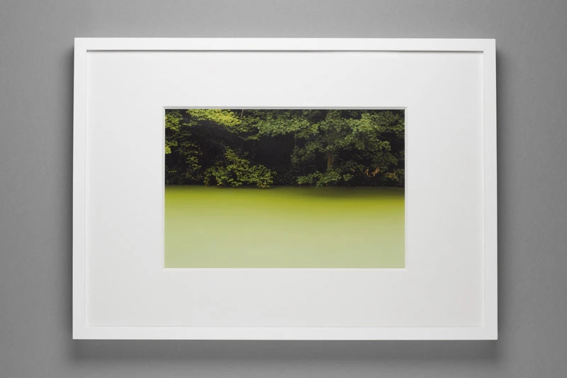 Marco Strappato • FakeLake
