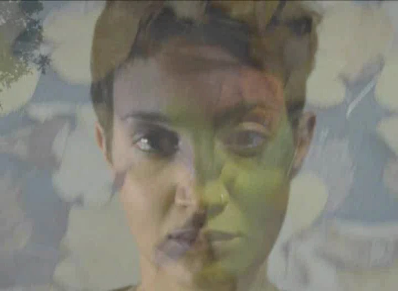 New entry > Archivio video. Videozero 2012