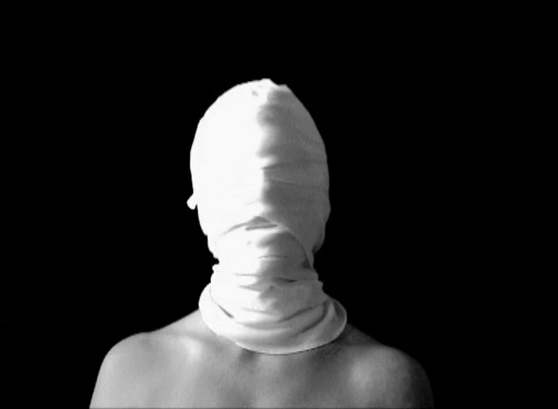 New entry > Archivio video. Videozero 2012