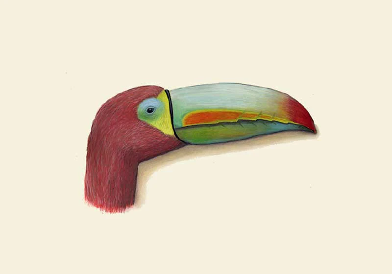 Marco Belfiore • Scherzi della natura