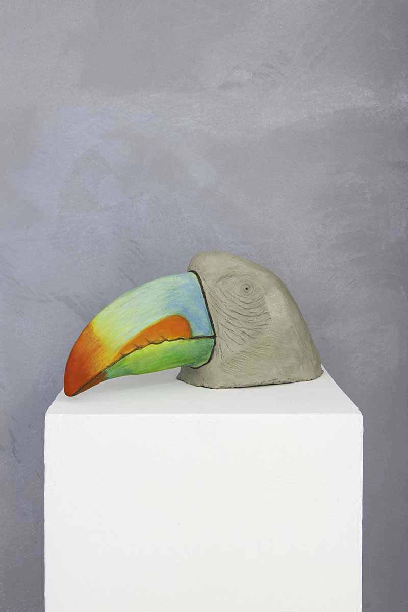Marco Belfiore • Scherzi della natura