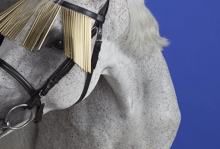 Careof @ MIART 2015