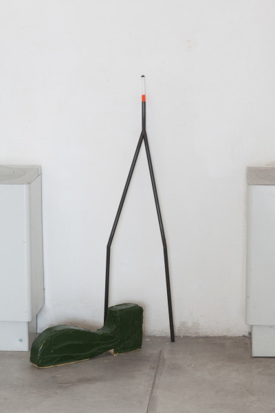 Le fragole del Baltico