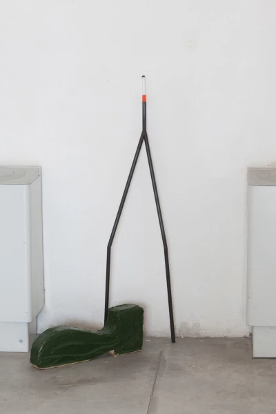 Le fragole del Baltico