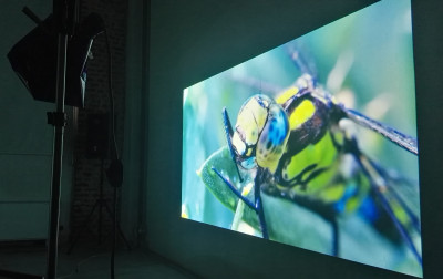 CINEMODERNO 2018