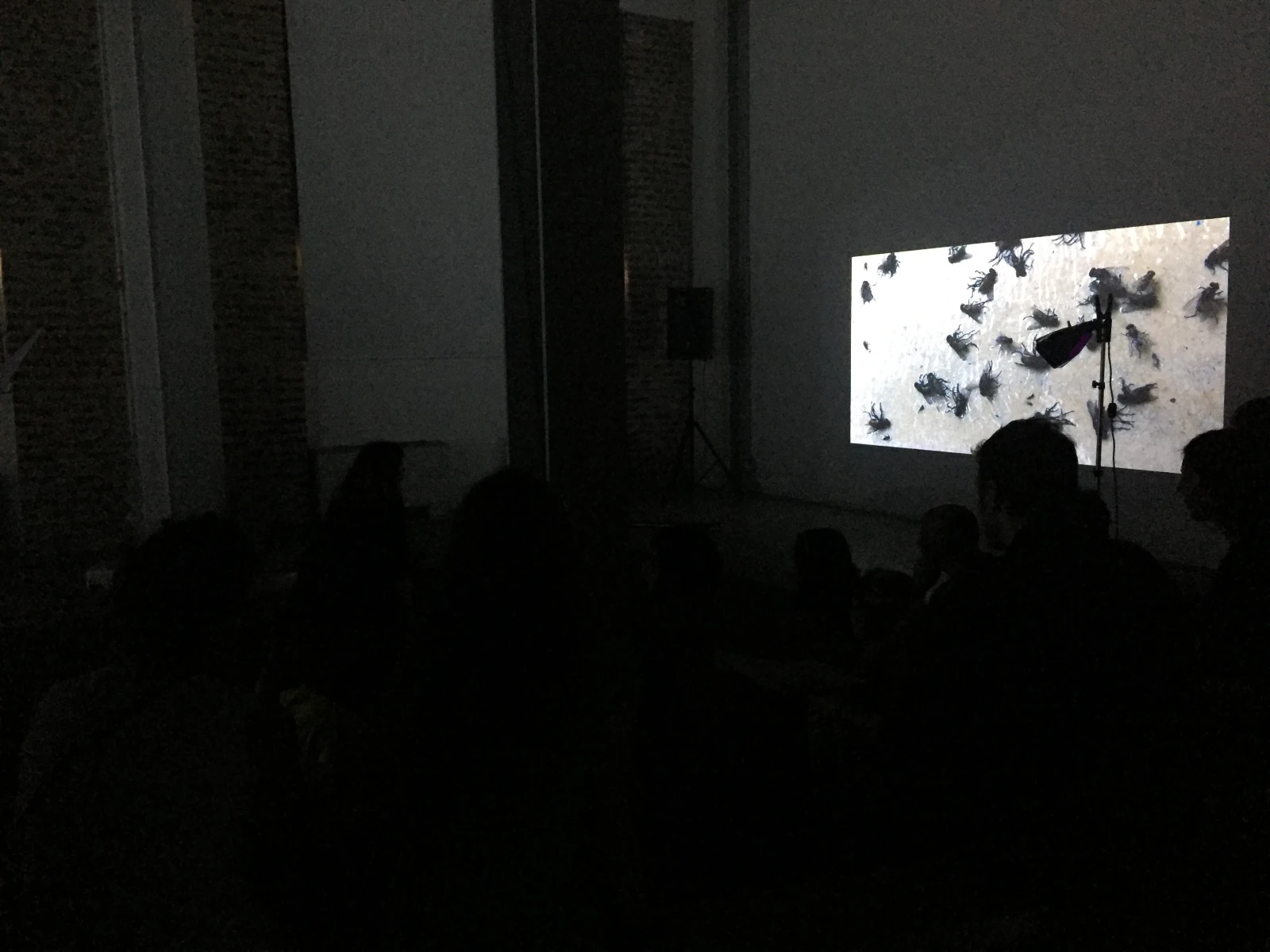 CINEMODERNO 2018
