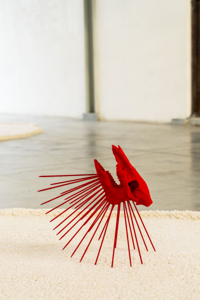 Luca Petti • Precipitazioni sotto il livello del mare