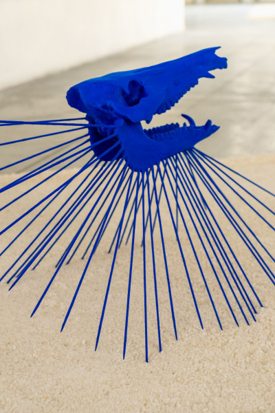 Luca Petti • Precipitazioni sotto il livello del mare