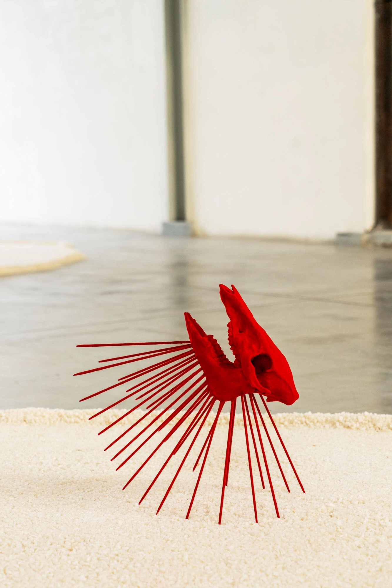 Luca Petti • Precipitazioni sotto il livello del mare