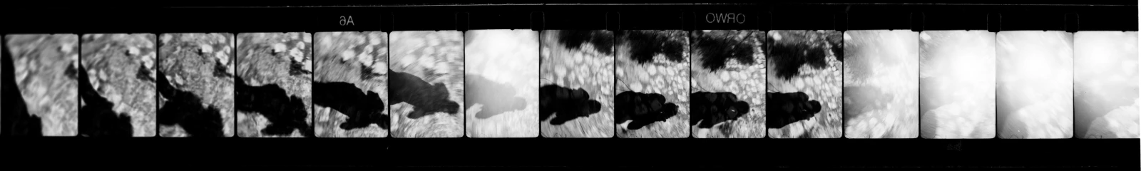 #1 L'immagine liberata. Pratiche e poetiche del film 16mm